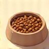 Pet food bowl icon
